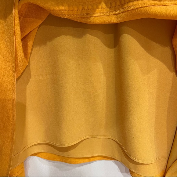 Derek Lam 10 Crosby Saffron Tiered Sleeveless V-neck Silk-blend Mini Dress, 6 - Picture 8 of 15